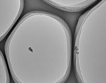 上海易微信息科技 超薄碳膜技術的創(chuàng)新與應用