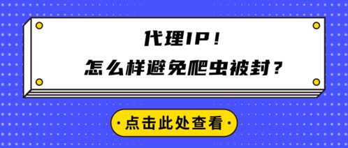 代理IP在避免爬蟲被封中的應(yīng)用與廣告設(shè)計(jì)規(guī)范